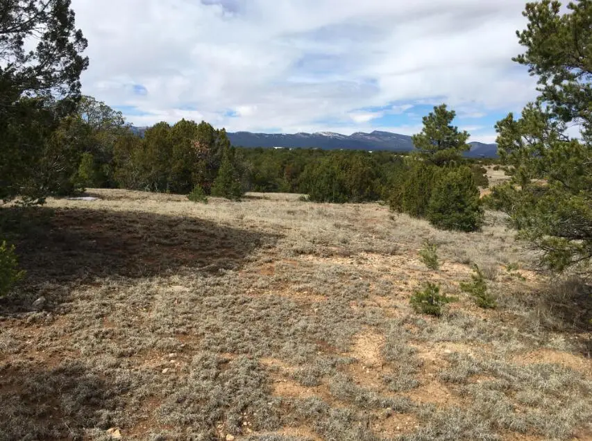15 Manzano Loop, Tijeras, NM 87059 - Image #1