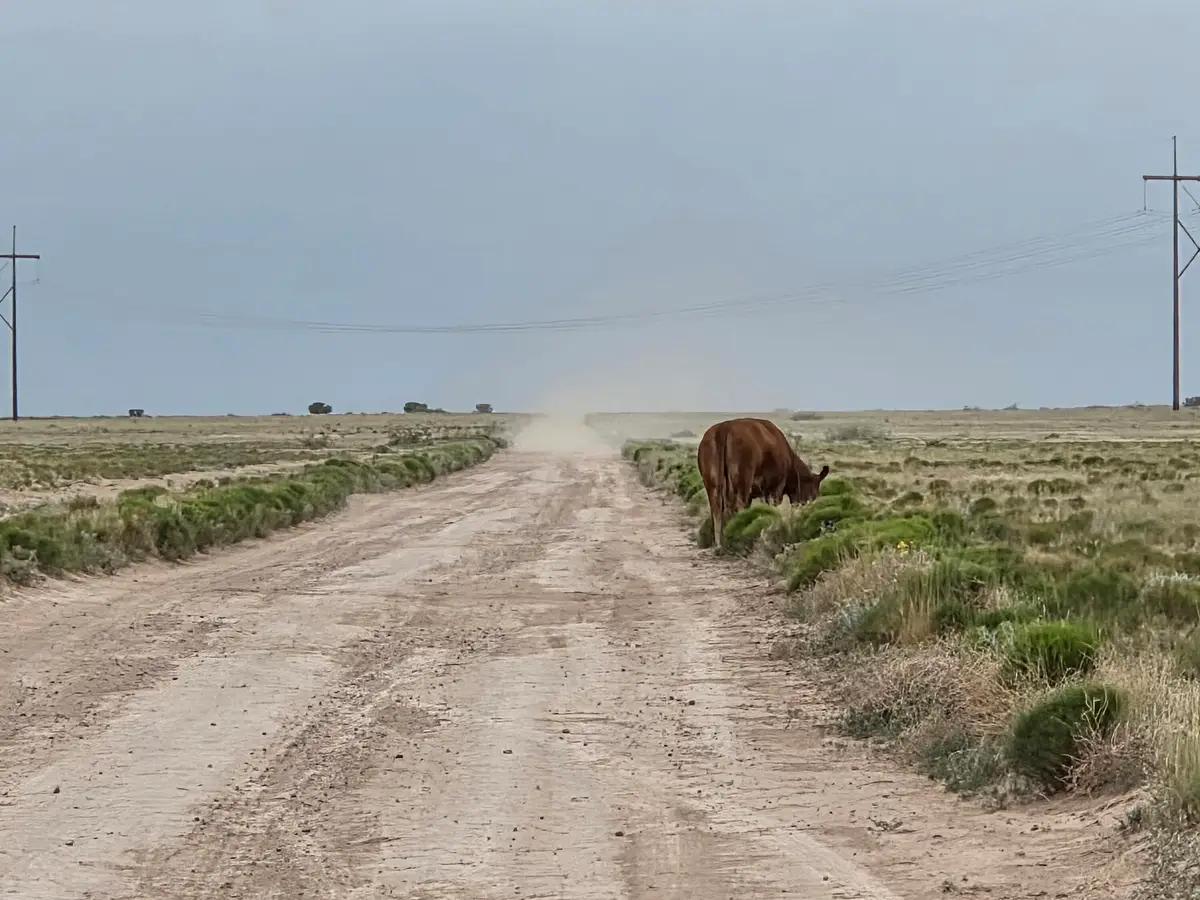 VL Rrg Lot: 233 #Unit 4, Socorro, NM 87801 - Image #1