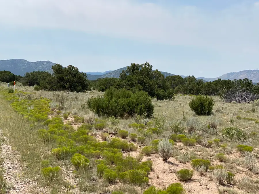 Elk Rd Tract 7 Road, Corona, NM 88318 - Image #3