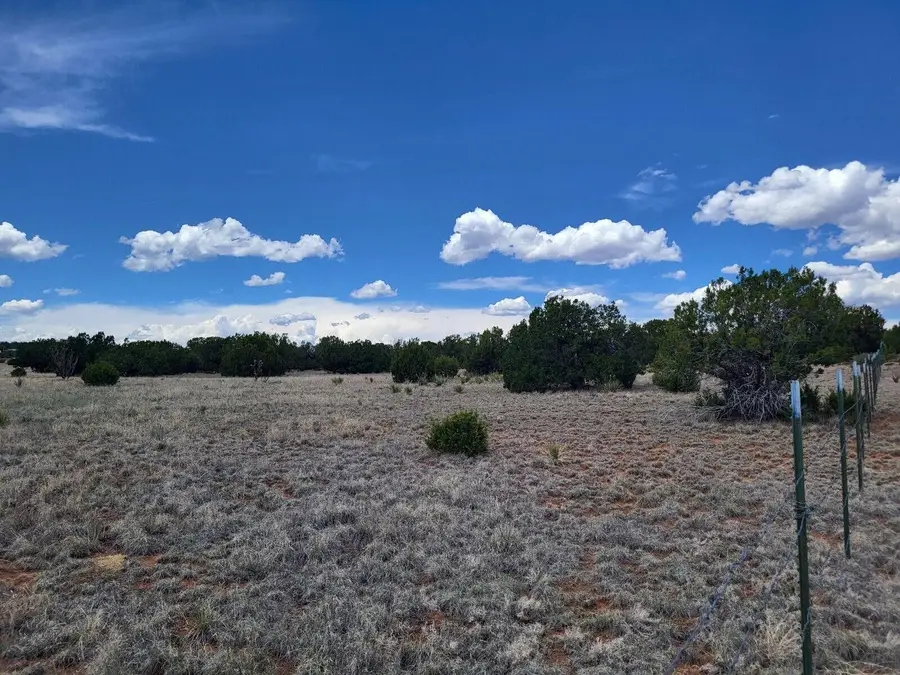 Bullion Road, Moriarty, NM 87035 - Image #3