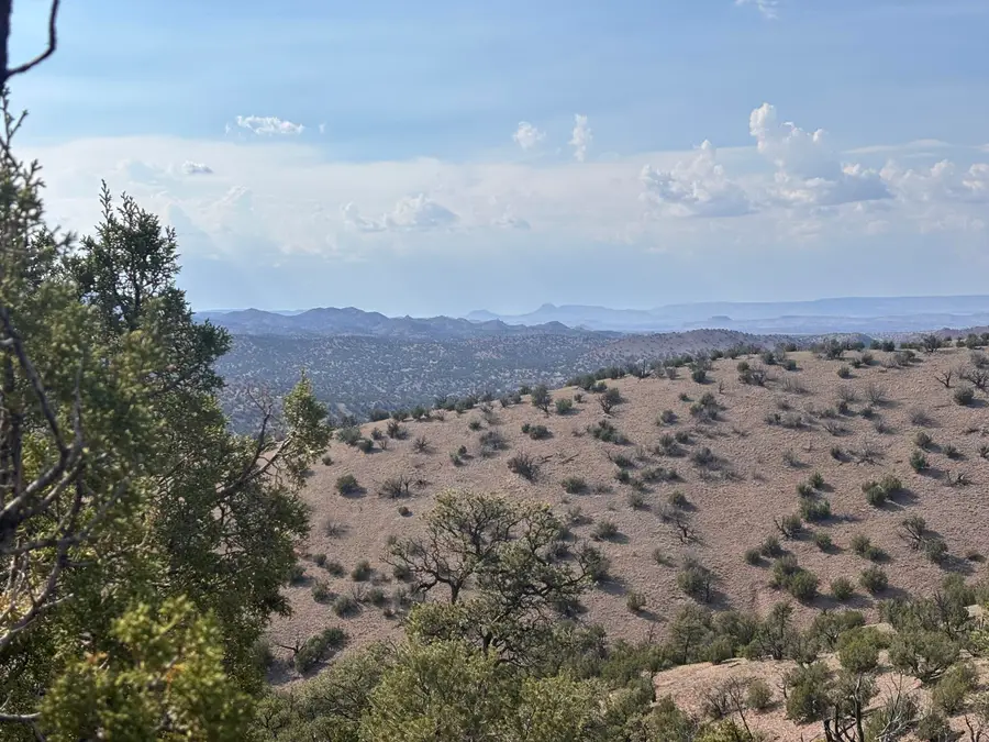 Lot 153 Pinon Springs Ranch, Magdalena, NM 87825 - Image #2