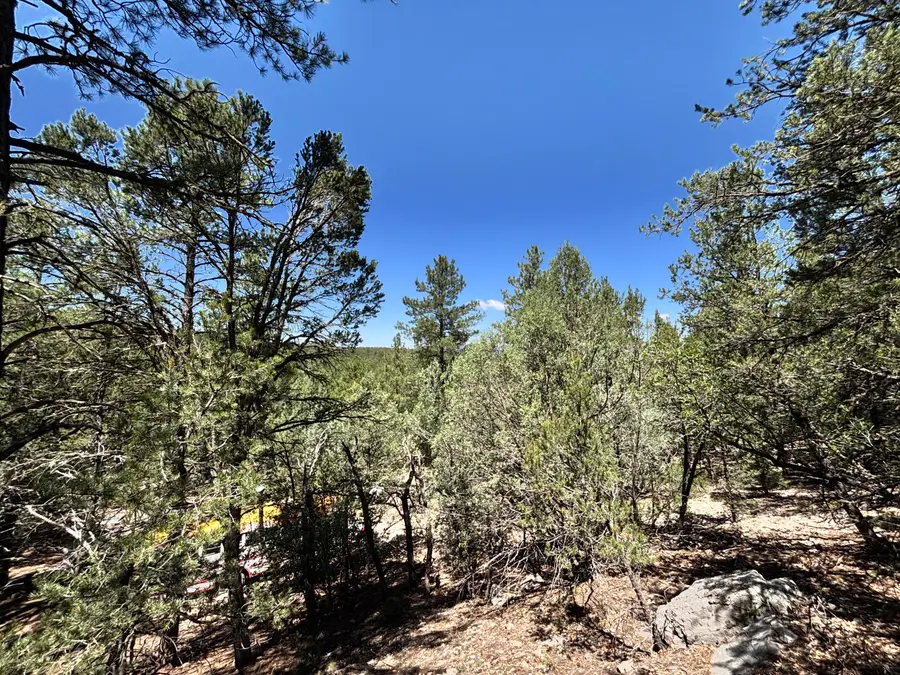27 Green Shadows Lane, Tijeras, NM 87059 - Image #3