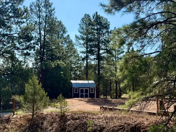 19 W Bobcat Drive, Ramah, NM 87321