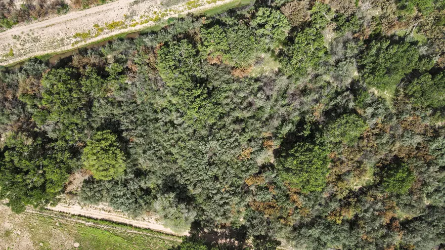 43+ Acres Las Nutrias, Veguita, NM 87062 - Image #2