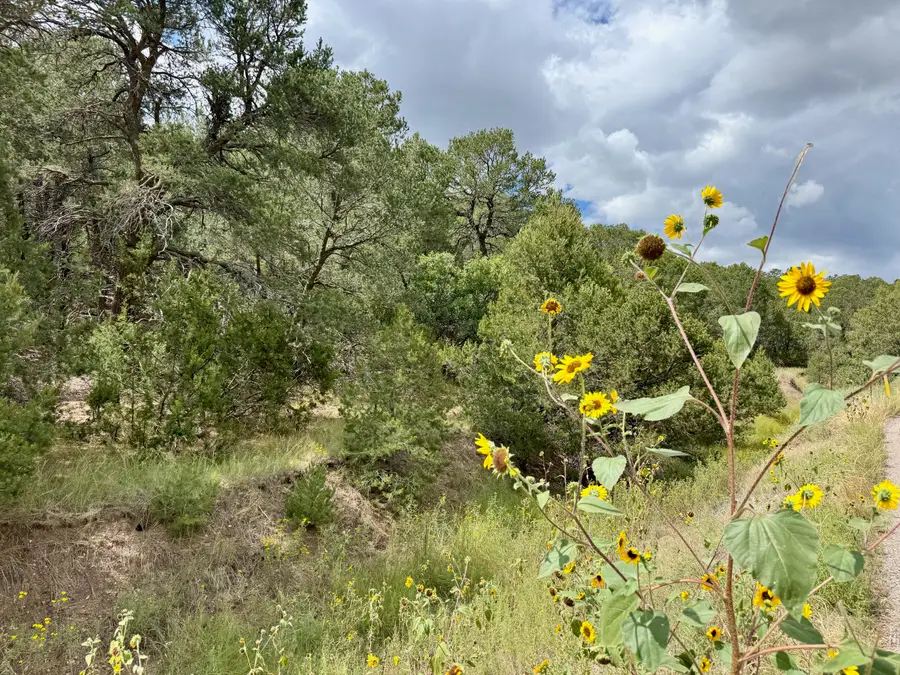 370 Sedillo Road, Tijeras, NM 87059 - Image #2