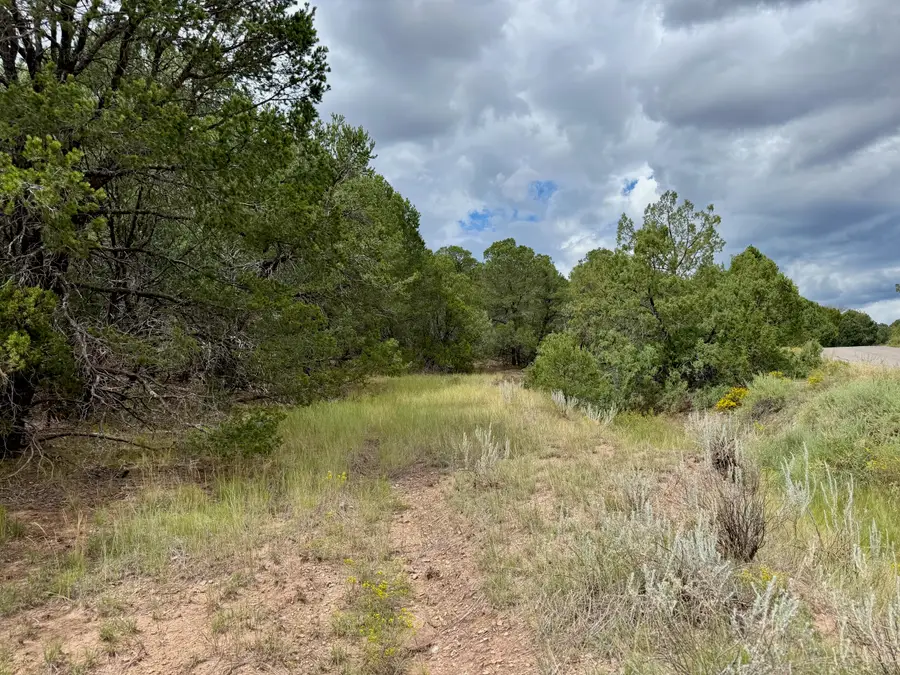 370 Sedillo Road, Tijeras, NM 87059 - Image #3