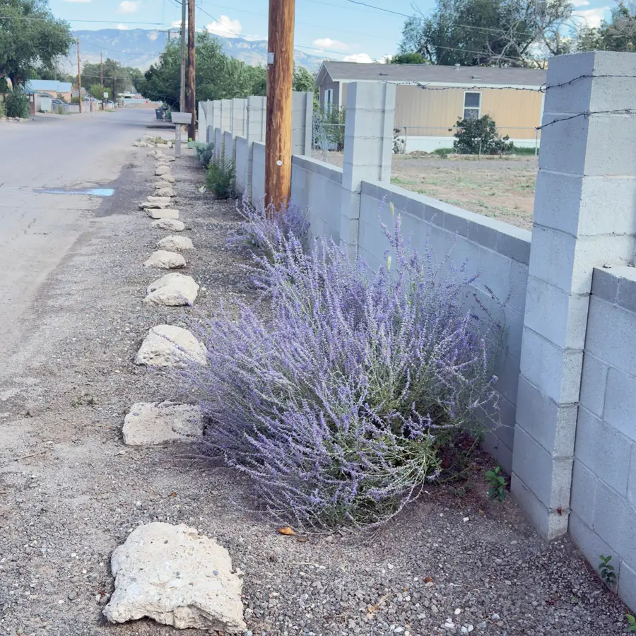 152 Willow Road Nw, Albuquerque, NM 87107 - Image #2