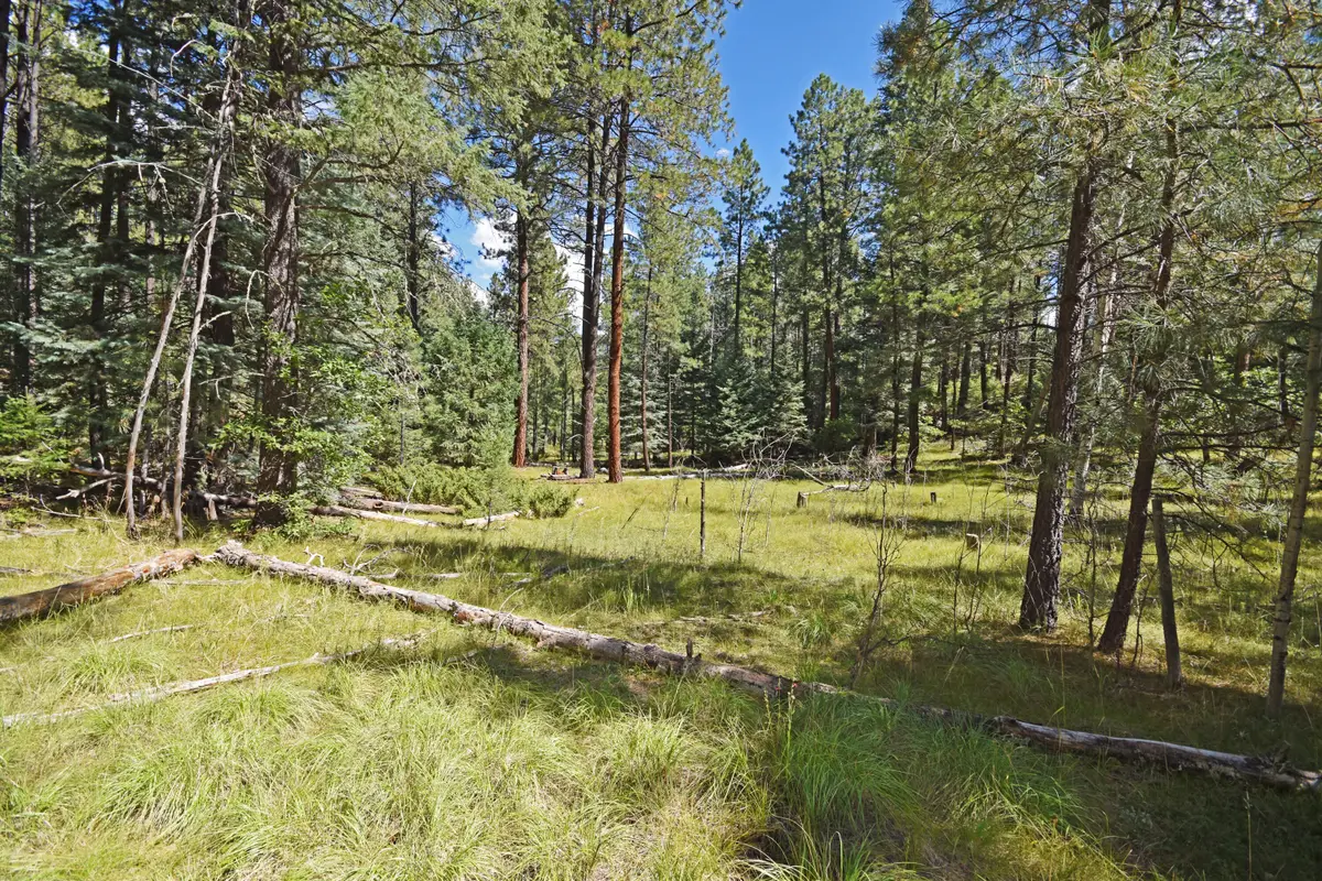 0 Thomsens Point, Jemez Springs, NM 87025 - Image #1
