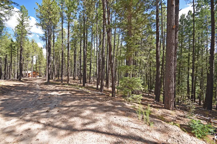 0 Thomsens Point, Jemez Springs, NM 87025 - Image #2