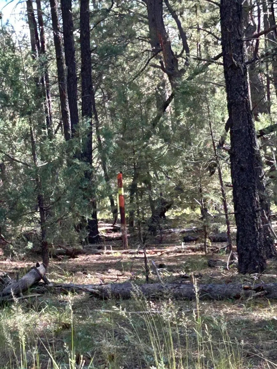 23 Acre Lot, Pecos, NM 87552 - Image #2