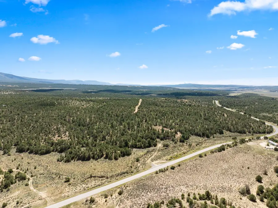 TBD Highway 96, La Jara, NM 87027 - Image #2