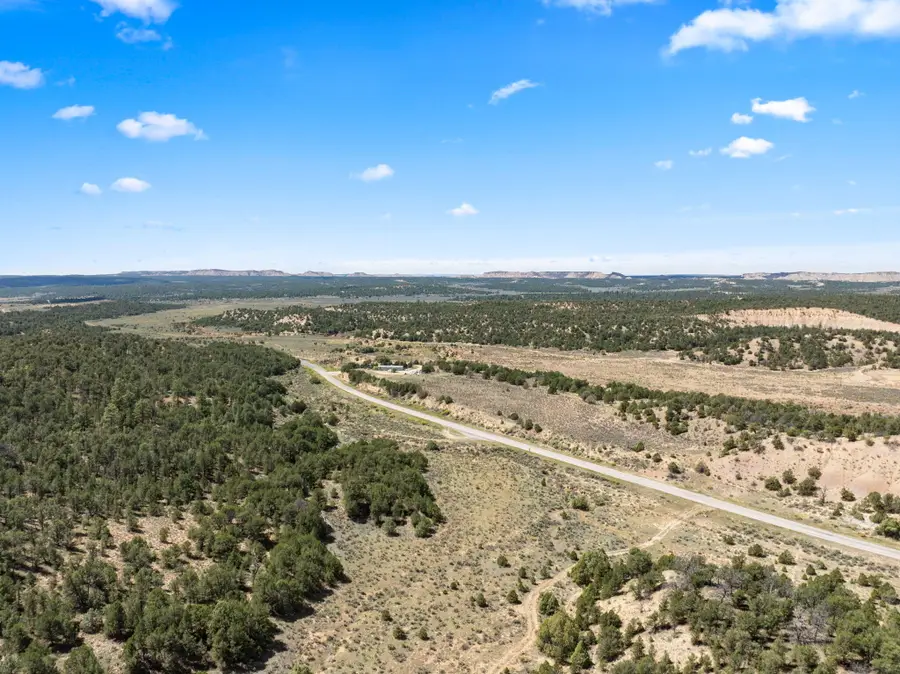 TBD Highway 96, La Jara, NM 87027 - Image #3