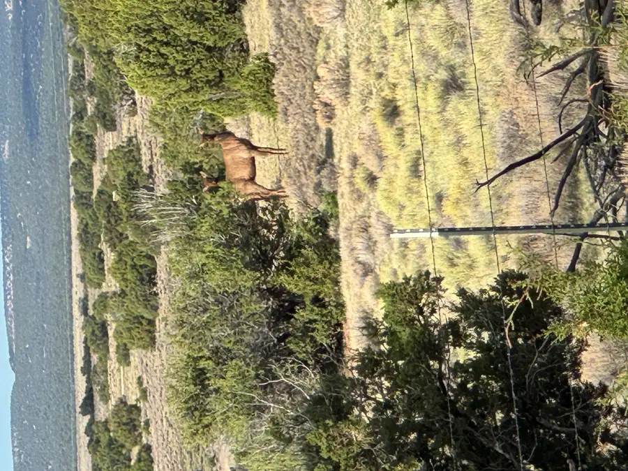 Lot 130 Jolly Time Lane, Fence Lake, NM 87315 - Image #2