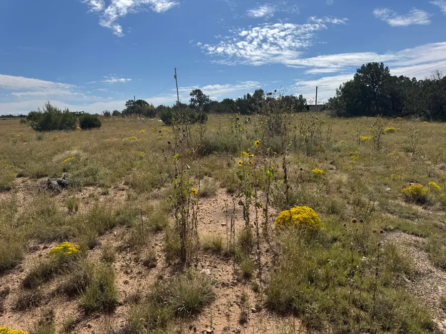 296 Pohl Road, Tijeras, NM 87059 - Image #3