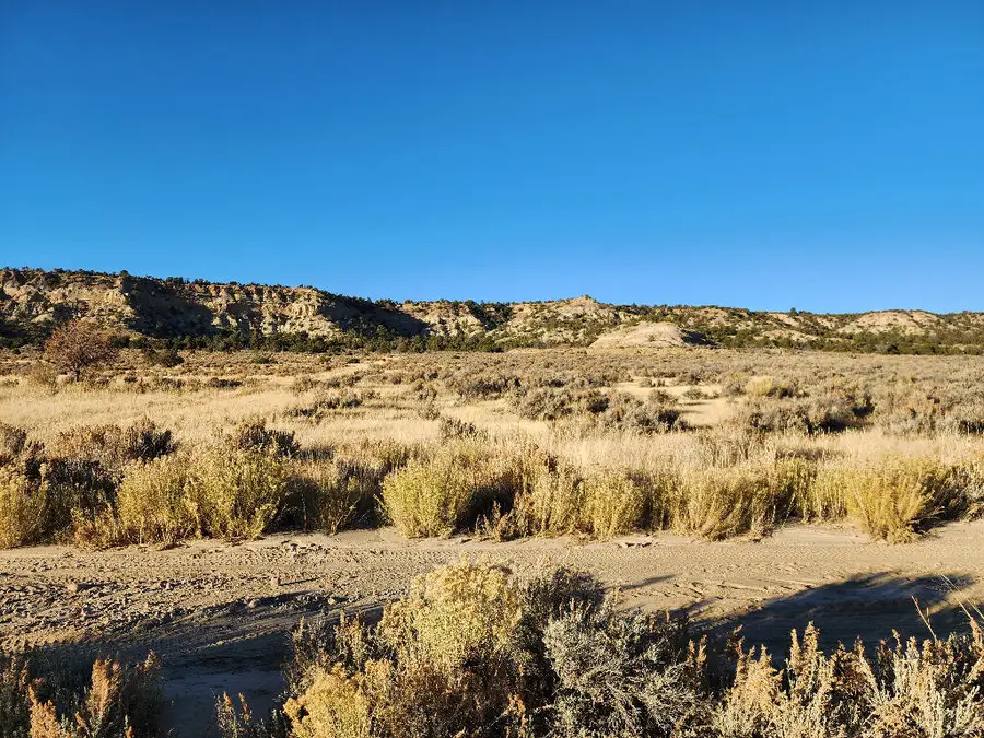 0 Banco Road, La Jara, NM 87027 - Image #2