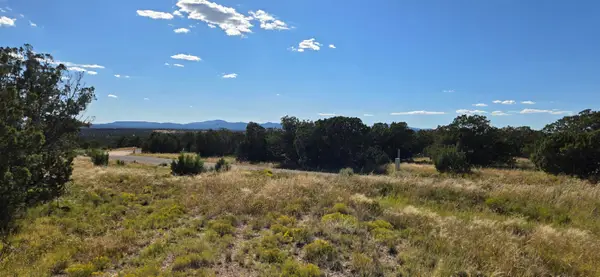 Lot 15 Swayback Trail, Corona, NM 88318