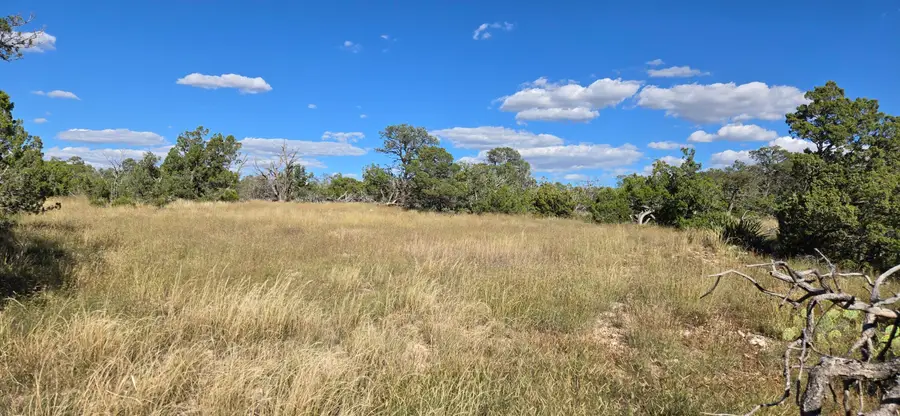 Lot 15 Swayback Trail, Corona, NM 88318 - Image #3