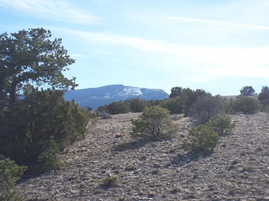 Camino Halcon, Placitas, NM 87043 - Image #2