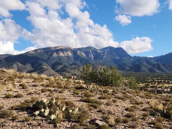 Calle Del Sol, Placitas, NM 87043