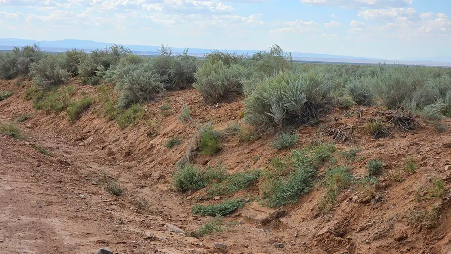 VL Rge Lot 17 Block 377 #17, Belen, NM 87002 - Image #3