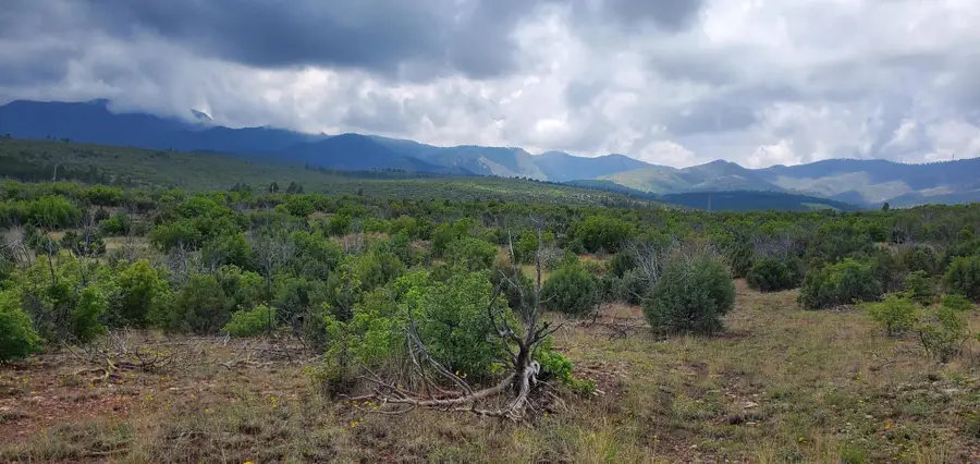 Capilla Peak Road, Manzano, NM 87016 - Image #2
