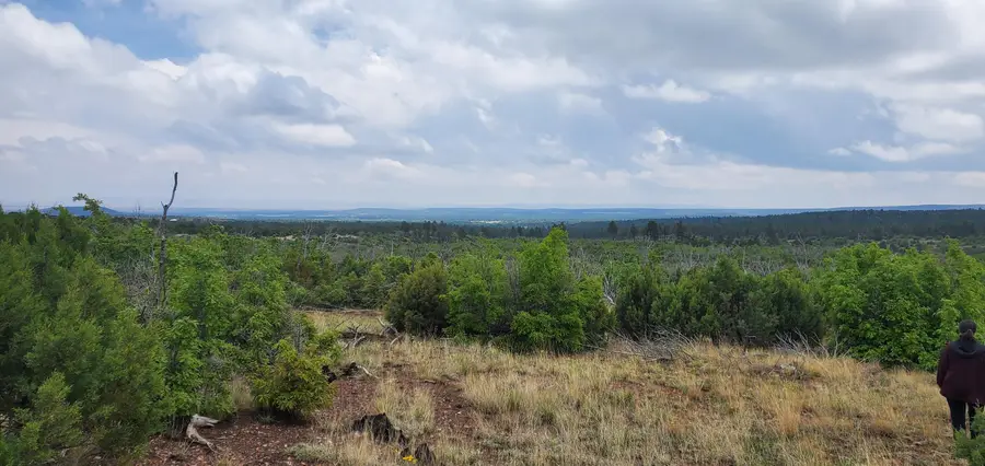 Capilla Peak Road, Manzano, NM 87016 - Image #3