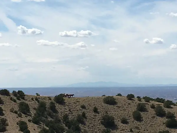 Unit 3 Camino Halcon, Placitas, NM 87043