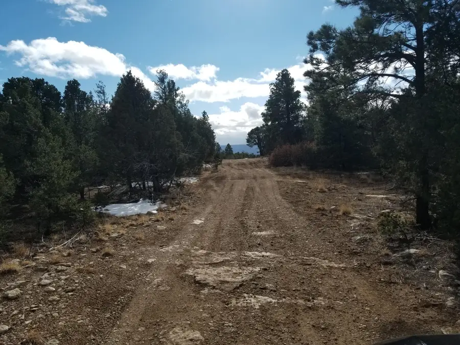 Tbd Pecos, Pecos, NM 87552 - Image #2