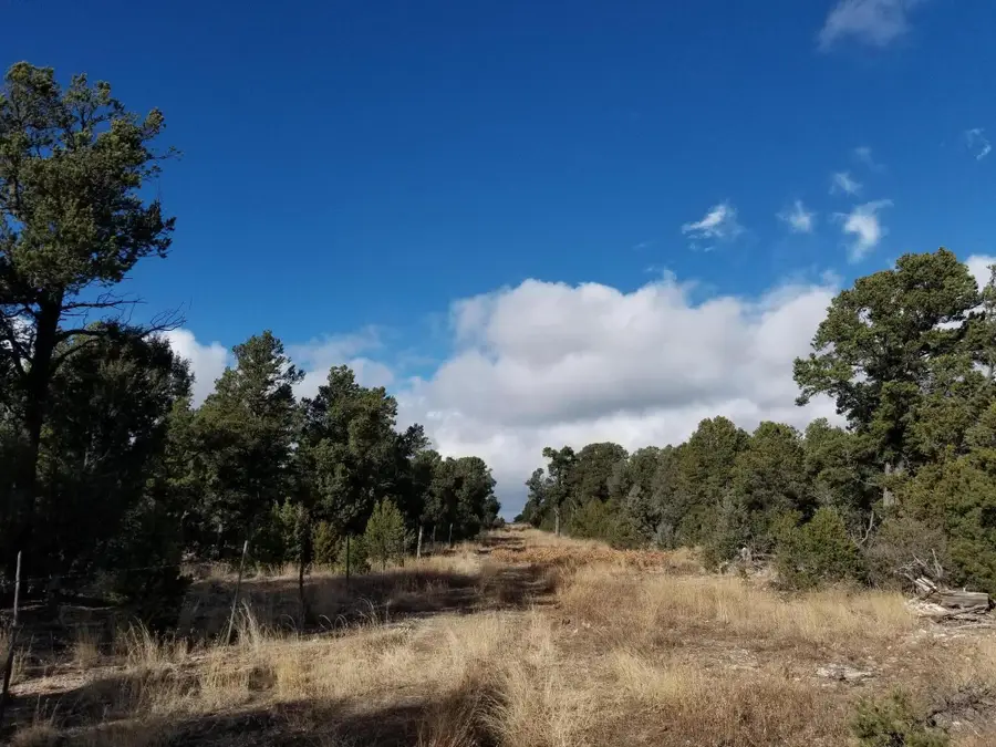 Tbd Pecos, Pecos, NM 87552 - Image #3