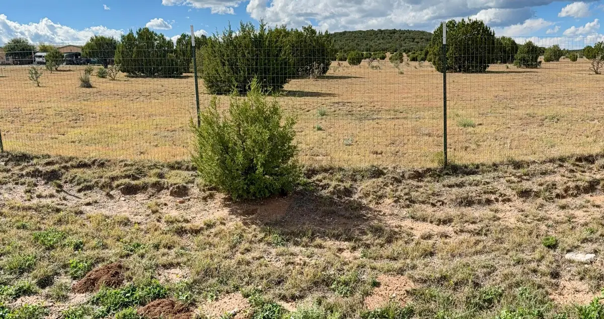 Lot 43/A-1 Casper Court, Moriarty, NM 87035 - Image #1