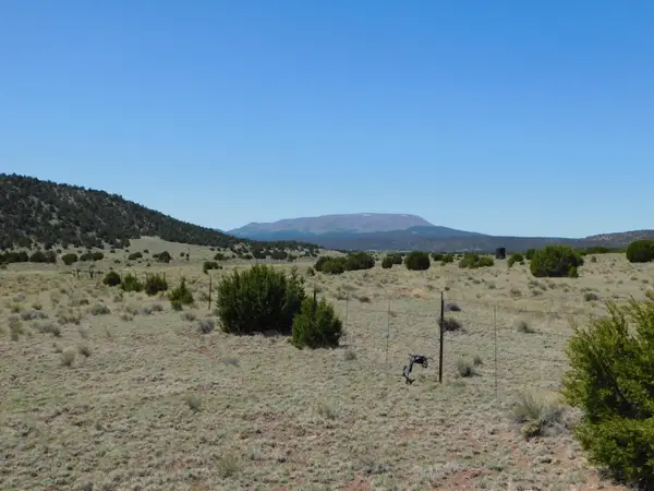 70 ACRES South Coyote Trail, Quemado, NM 87829