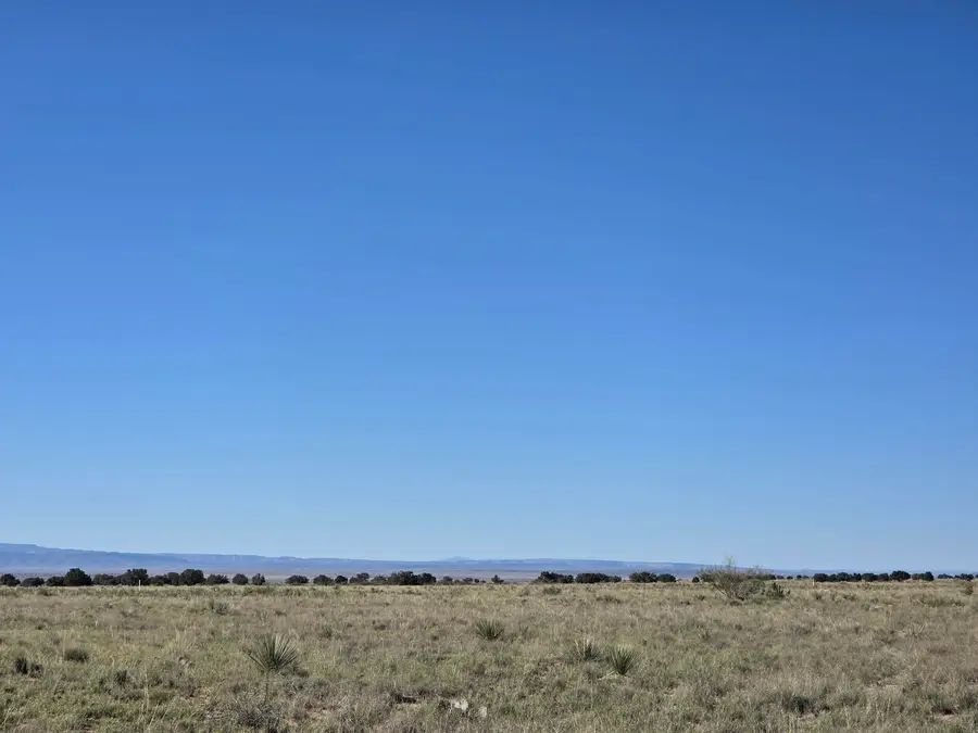 RRG Lot: 106 #6, Magdalena, NM 87825 - Image #3