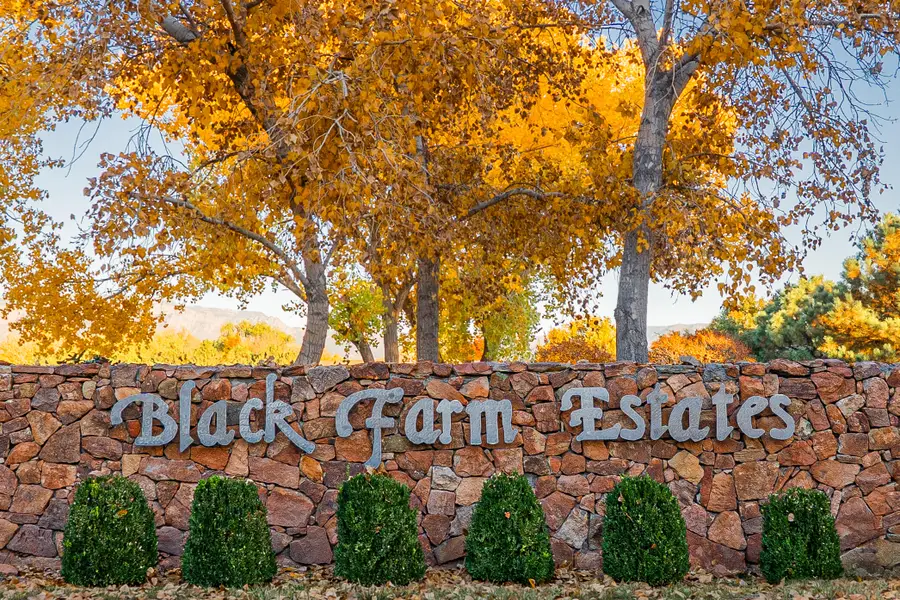 9506 Dancing River Drive, Albuquerque, NM 87114 - Image #2