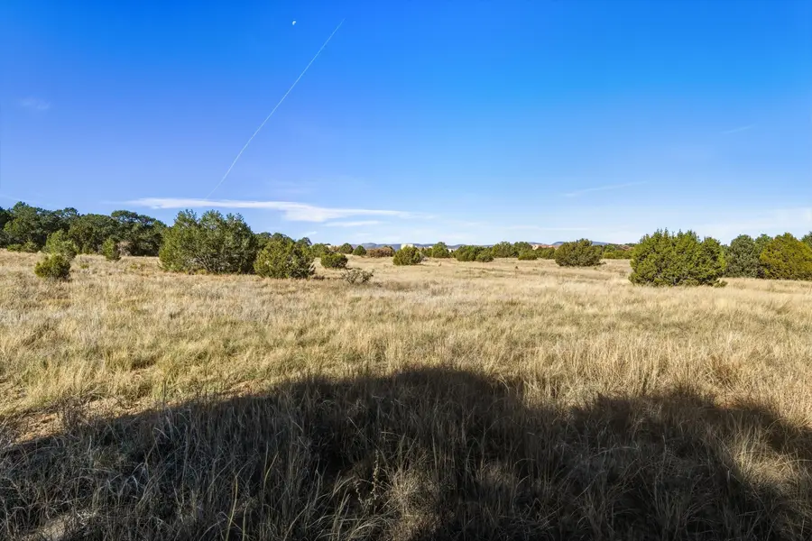 25 Holiday, Tijeras, NM 87059 - Image #2