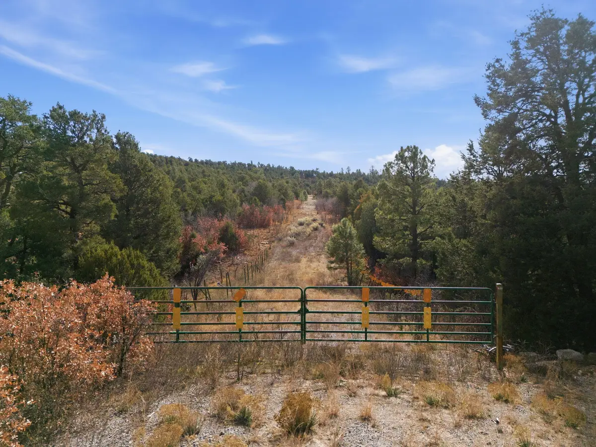 5 Hayner Court, Tijeras, NM 87059 - Image #1
