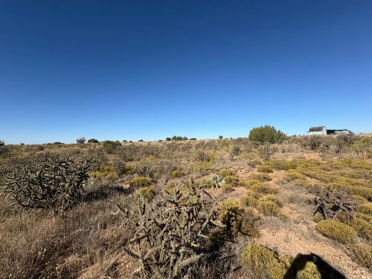 Lot 10 Quail, Lake Sumner, NM 88119 - #1