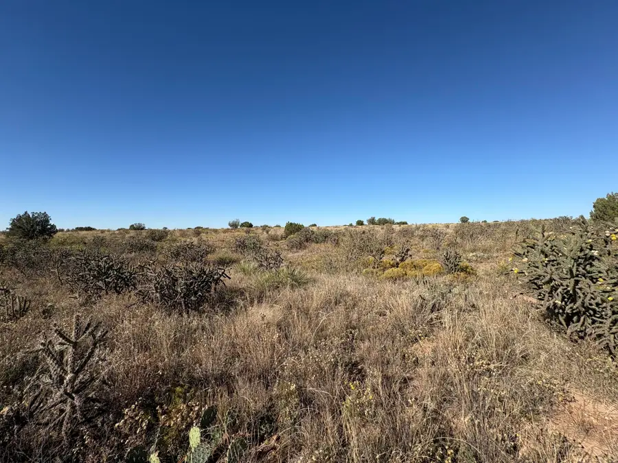 Lot 10 Quail, Lake Sumner, NM 88119 - #2