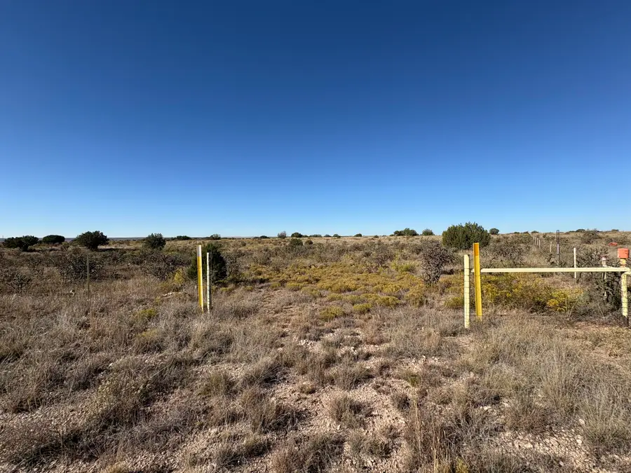 Lot 10 Quail, Lake Sumner, NM 88119 - #3