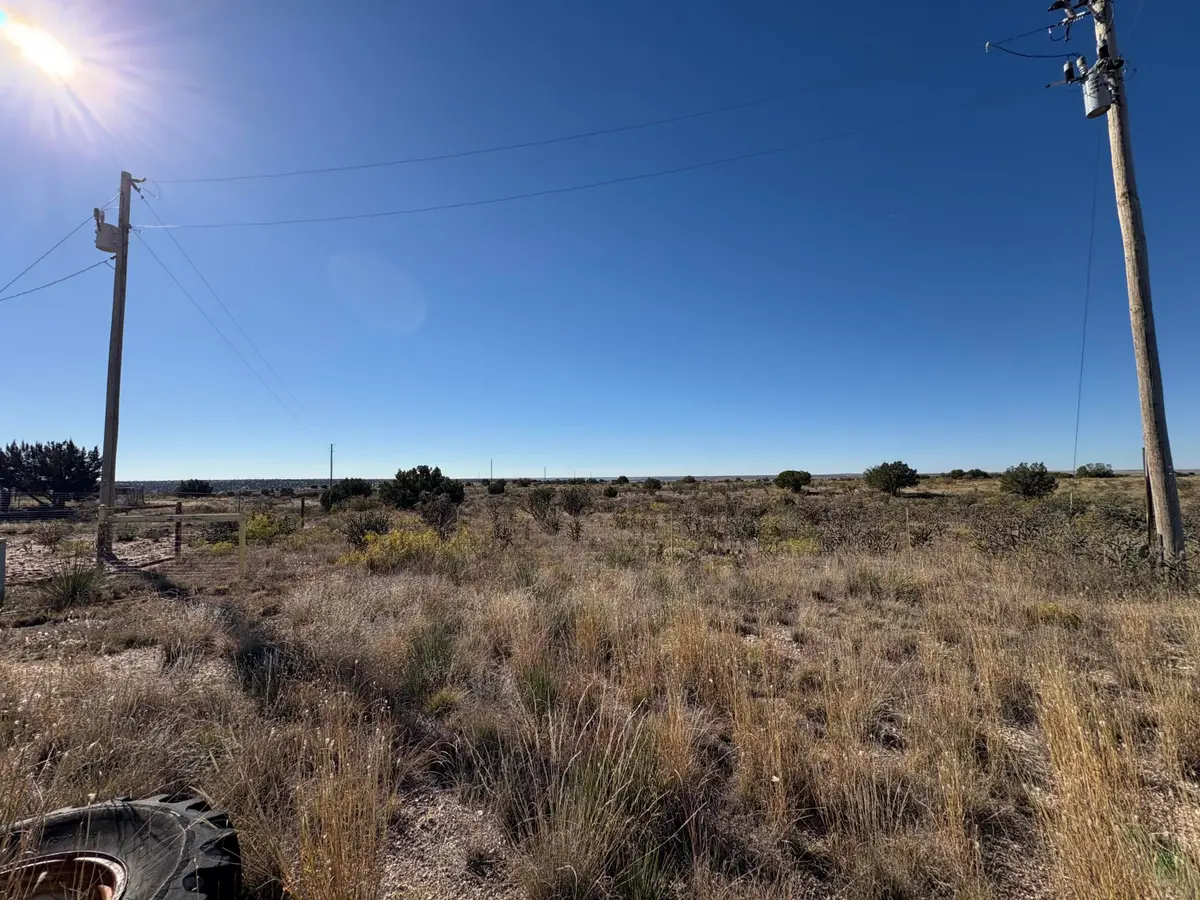 Lot 9 Quail Lane, Lake Sumner, NM 88119 - #1