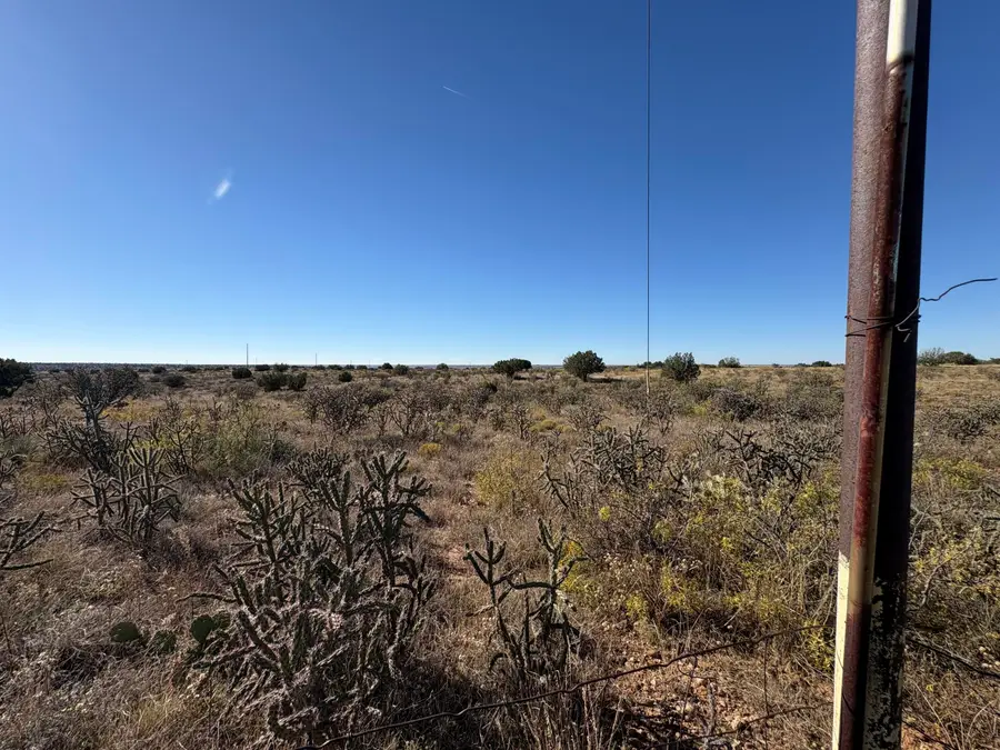 Lot 9 Quail Lane, Lake Sumner, NM 88119 - #2
