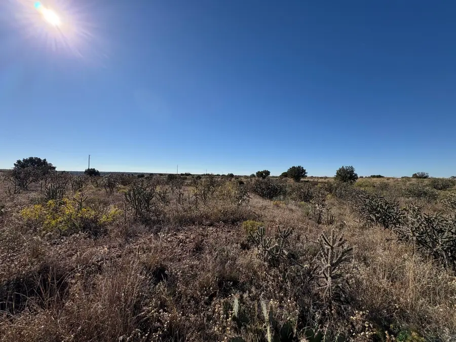 Lot 9 Quail Lane, Lake Sumner, NM 88119 - #3