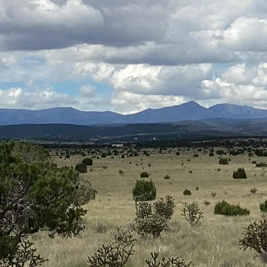 County Rd A052 Tract A, Estancia, NM 87016 - Image #2