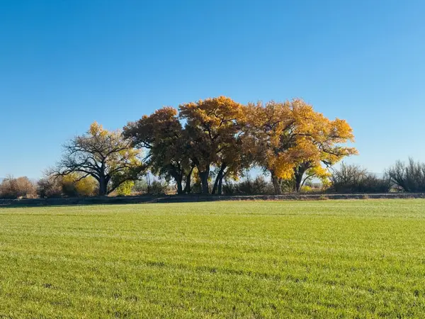 105 Zia Lane Lane, Veguita, NM 87062