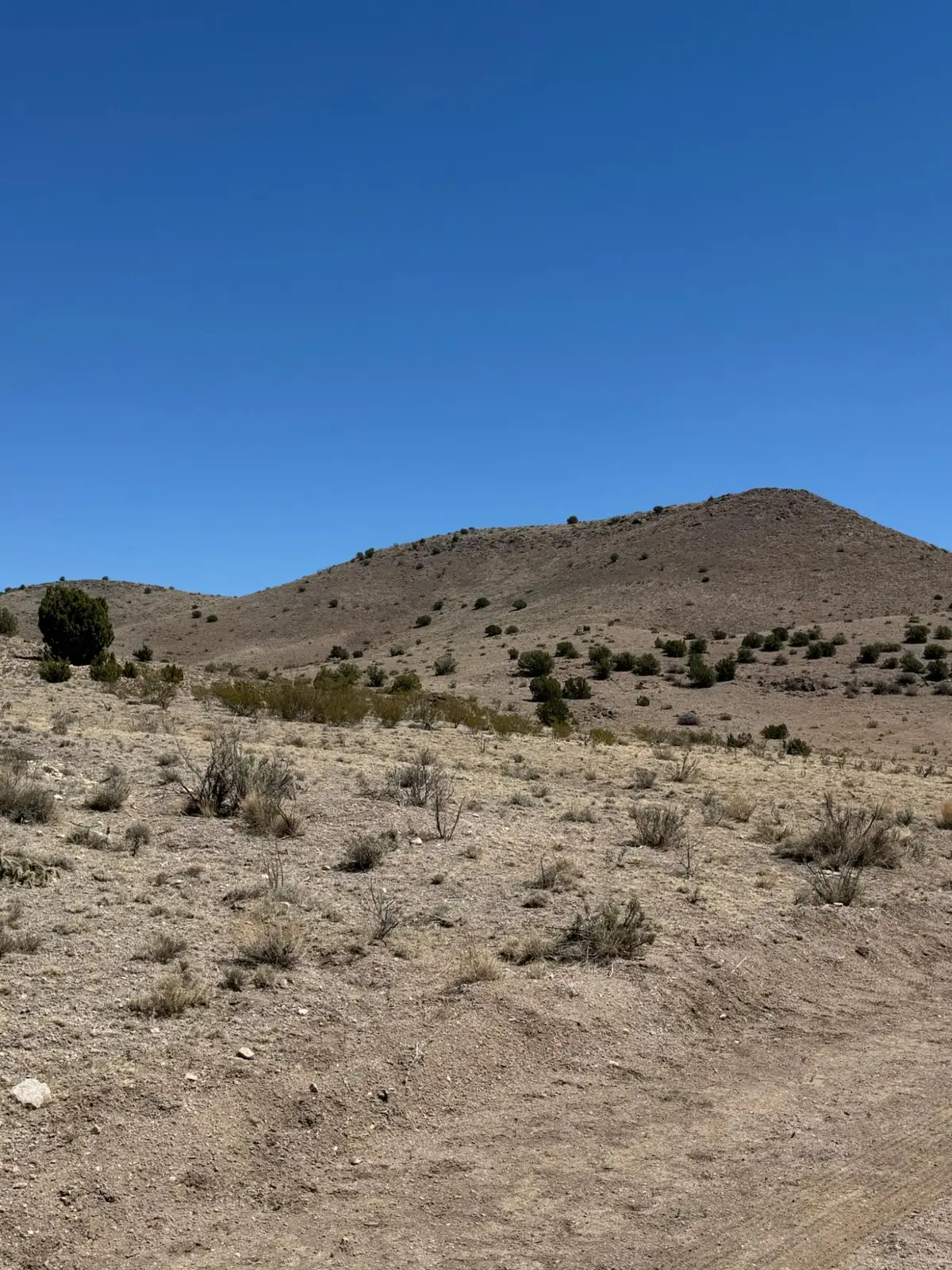 Lot 18 Willow Springs Ranch, San Antonio, NM 87832 - Image #1