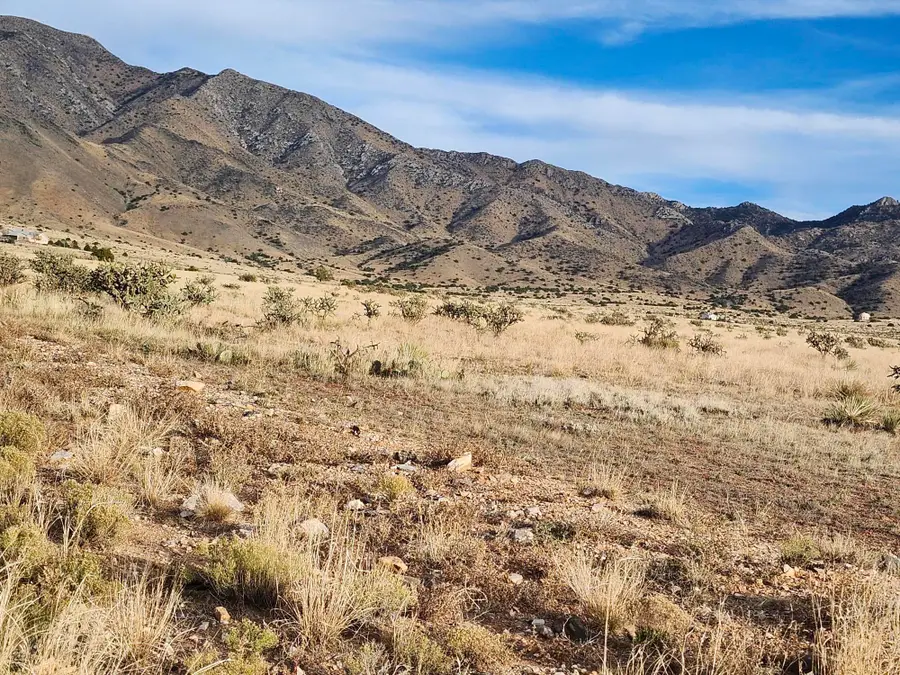 Tarugo Road, Belen, NM 87002 - Image #3