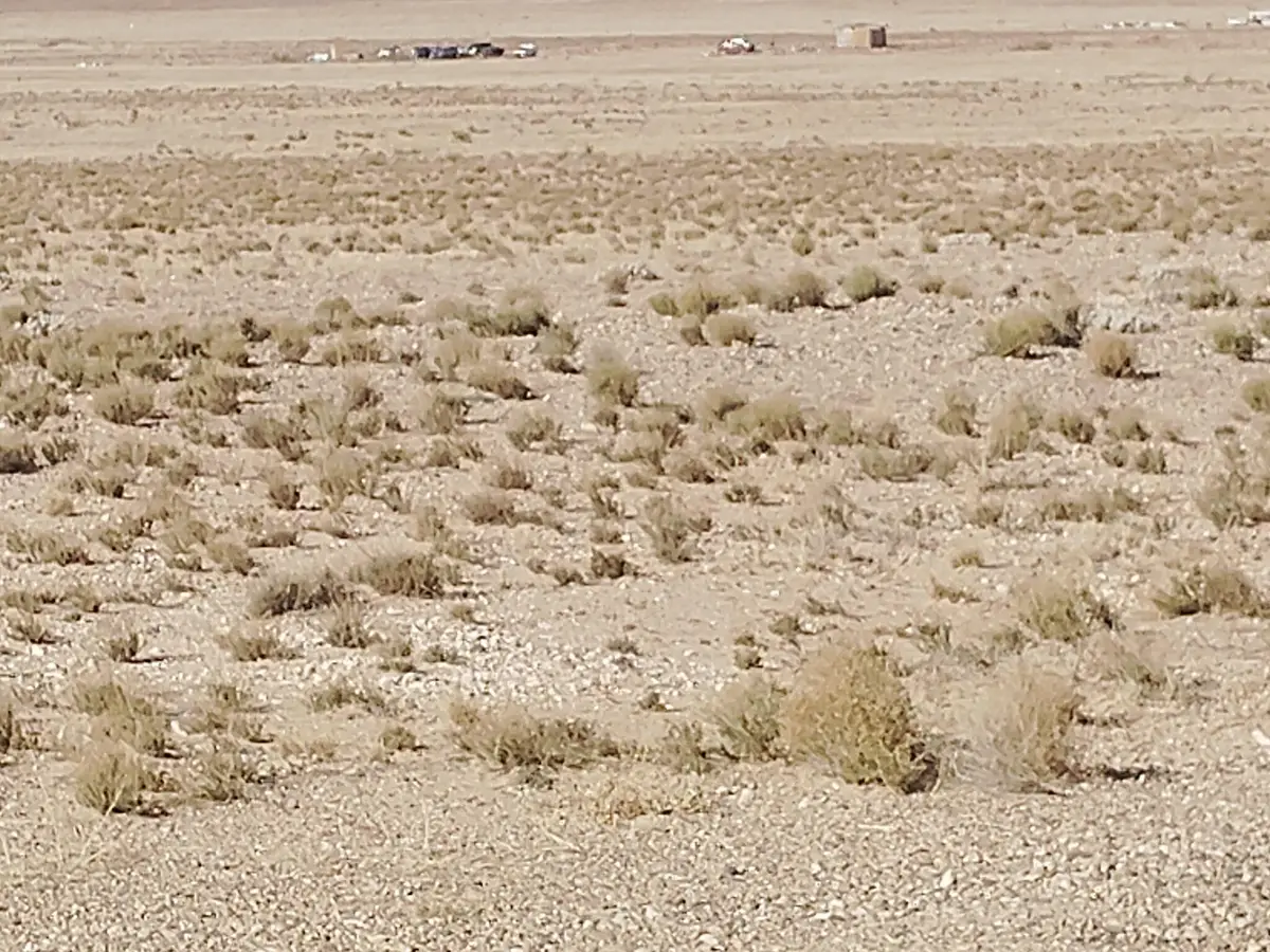 0 Escobar Street, Veguita, NM 87062 - Image #1