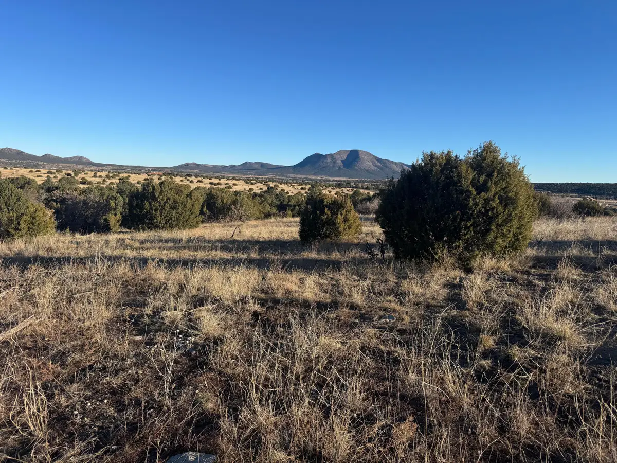19 Bolivar Loop, Tijeras, NM 87059 - Image #1