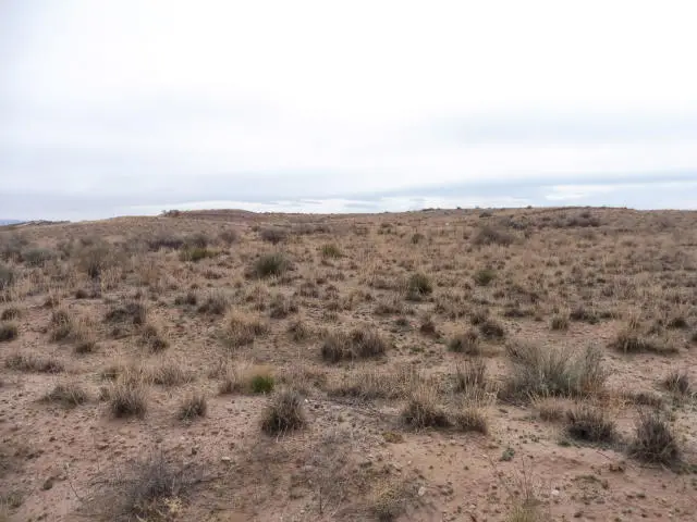 Address Withheld By Seller, Tome, NM 87060 - Image #1