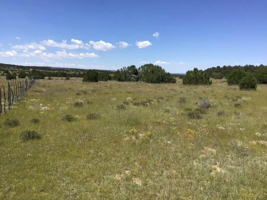 Lot 1 Washout Road, Ramah, NM 87321 - Image #2