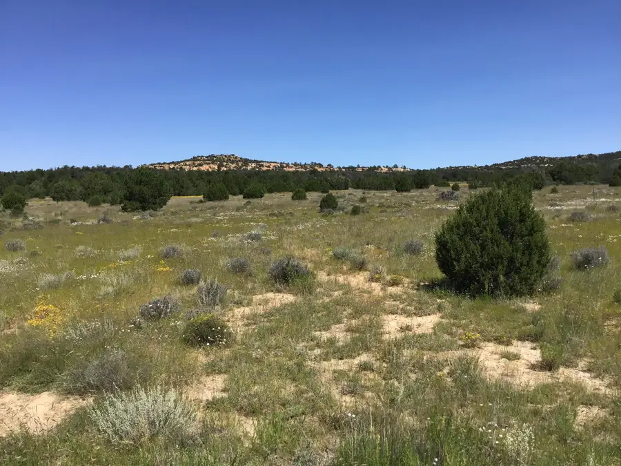 Lot 1 Washout Road, Ramah, NM 87321 - Image #3